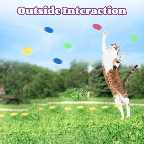 Funny Cat Toys Creative Turnip Gun with 15pcs Reusable Foam Frisbee Pet Hunting Interactive Toy Dog Cat Pet Supplies