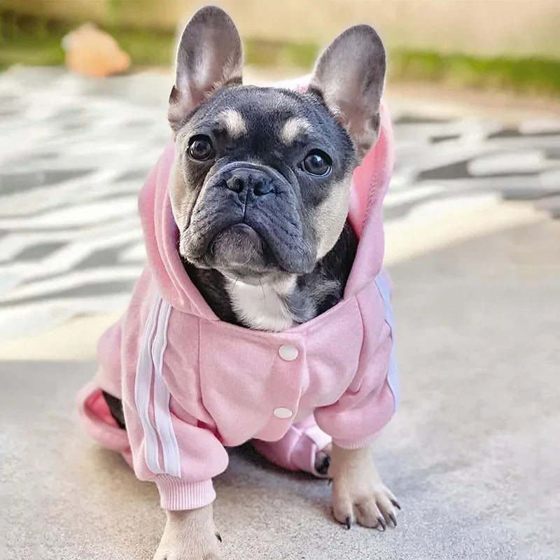 Pet Clothes French Bulldog Puppy Dog Costume Pet Jumpsuit Chihuahua Pug Pets Dogs Clothing for Small Medium Dogs Puppy Outfit - AliExpress 15